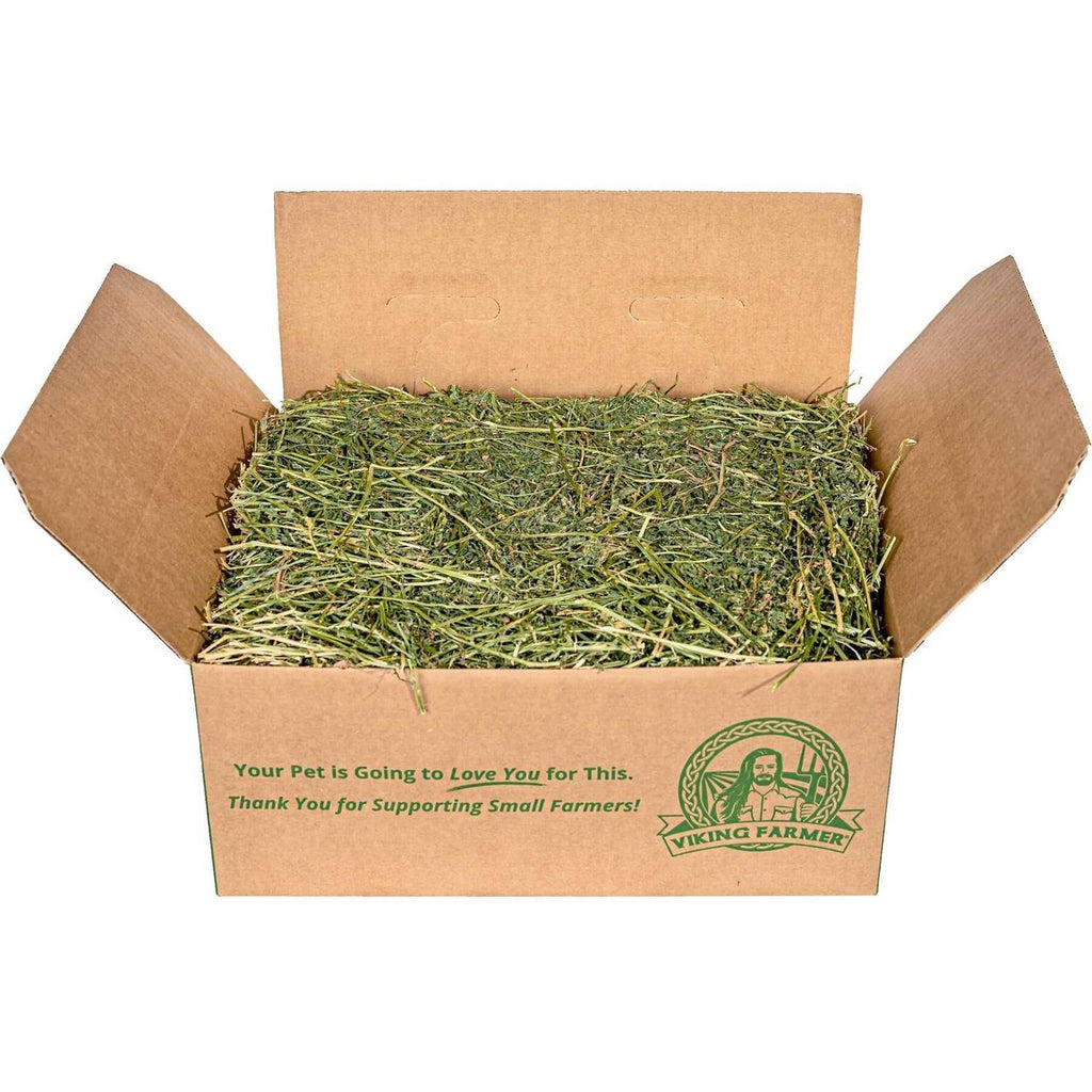 Alfalfa Hay for Rabbits & Small Pets P823