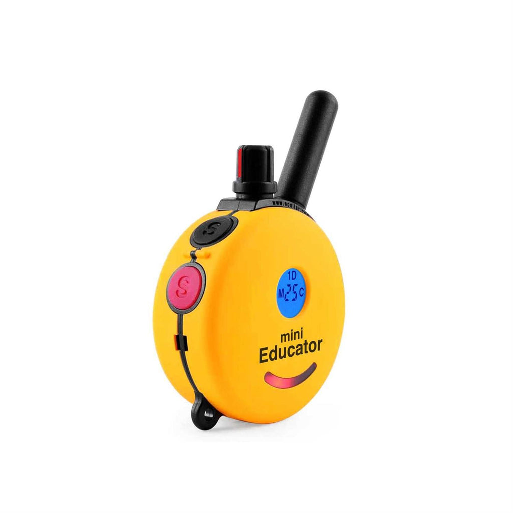 Dog Collar Remote H2110