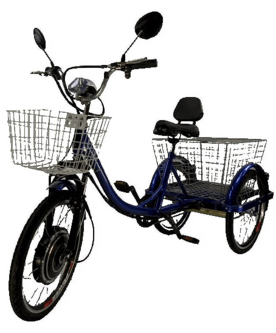 Electric Trike T321