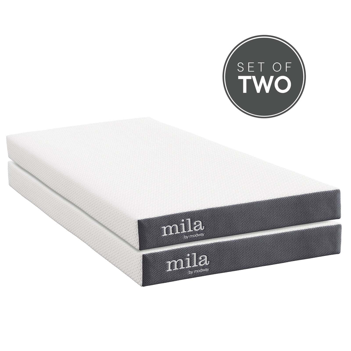 Twin Foam Mattress Set of 2 D384