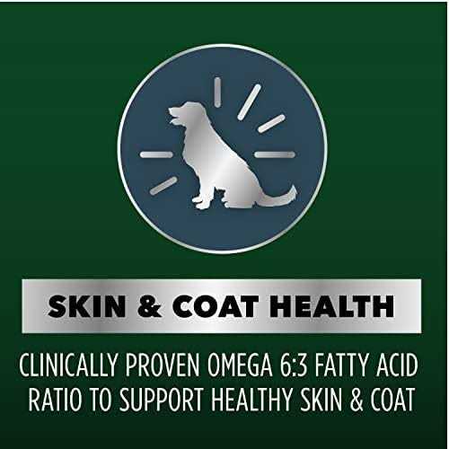 Chicken and Salmon Recipe Dry Dog Food Z852048