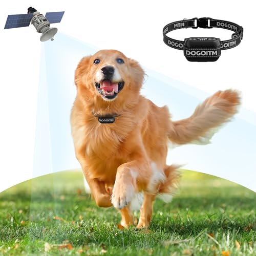 Wireless GPS Fence with Waterproof Rechargeable Collar B714