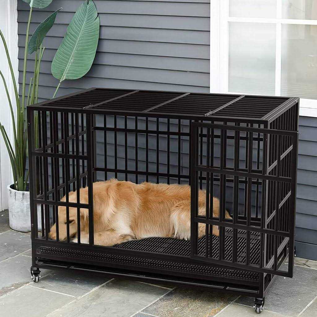 Heavy Duty Dog Crate with Removable Tray Y193434