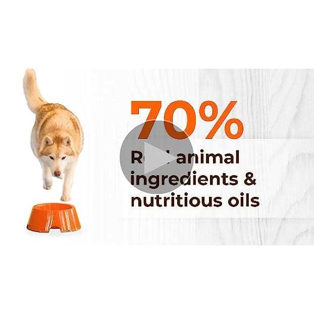 Grain Free Rabbit Dry Dog Food C68851