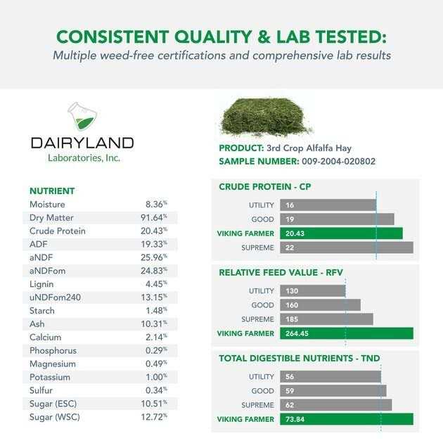Alfalfa Hay for Rabbits & Small Pets P823