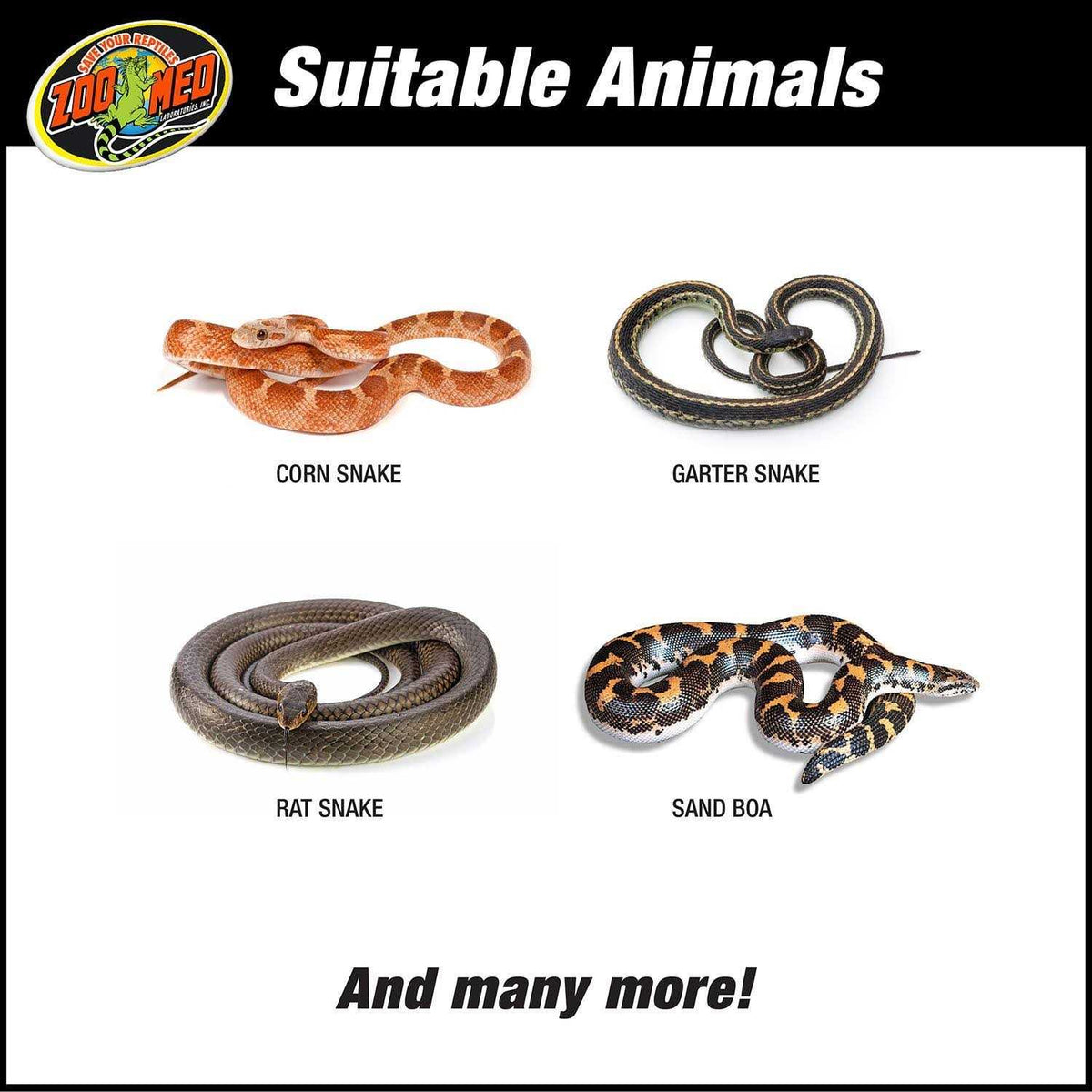 Snake Kit K536579