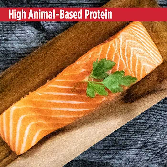 Grain Free Salmon Dog Food E973974