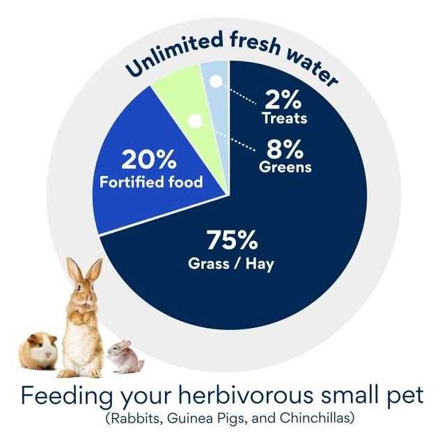 Alfalfa Hay for Rabbits & Small Pets P823