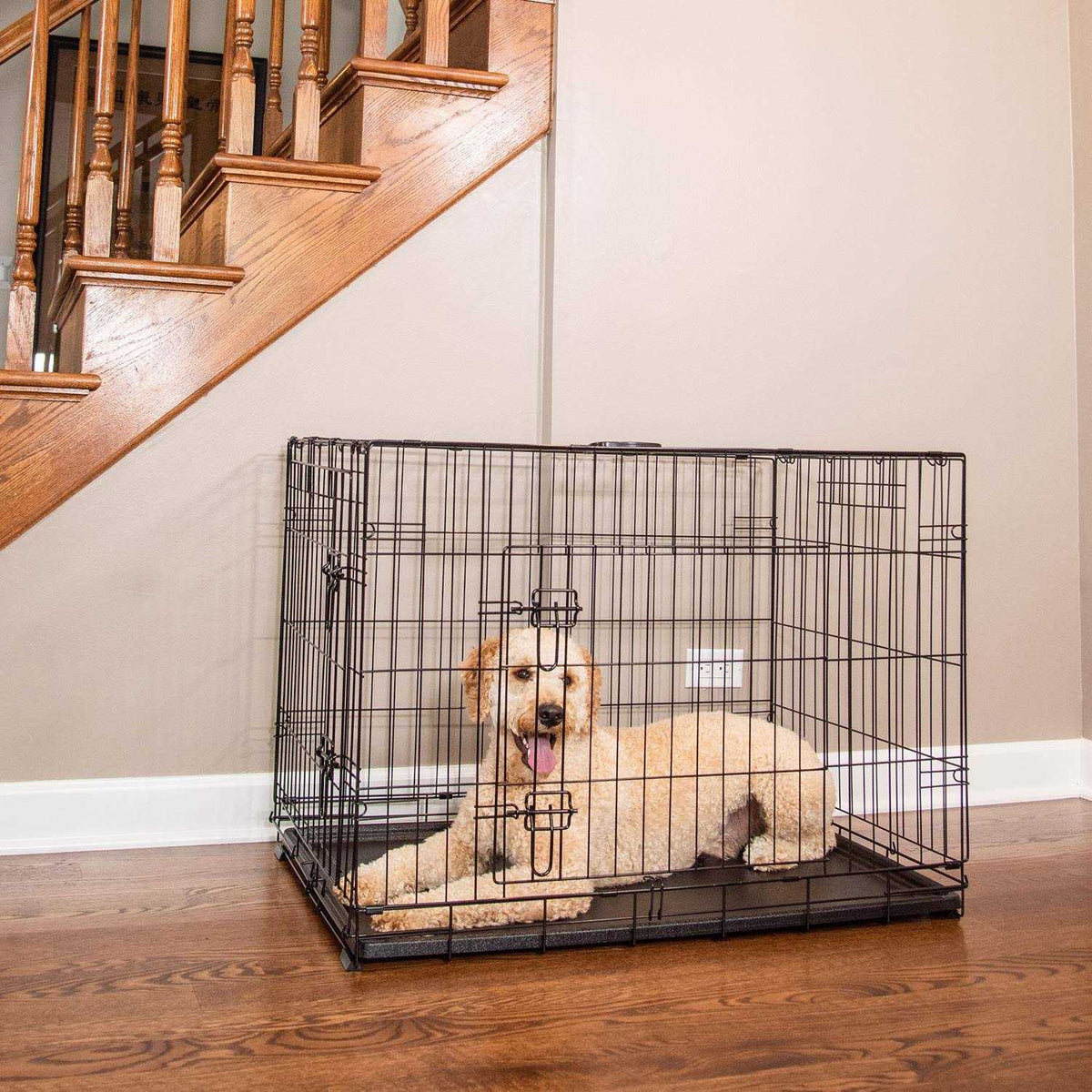 Single-Door Dog Crate H904999