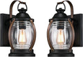 Barnwood Finish Clear Glass Outdoor Wall Fixture 2 Pack X1873