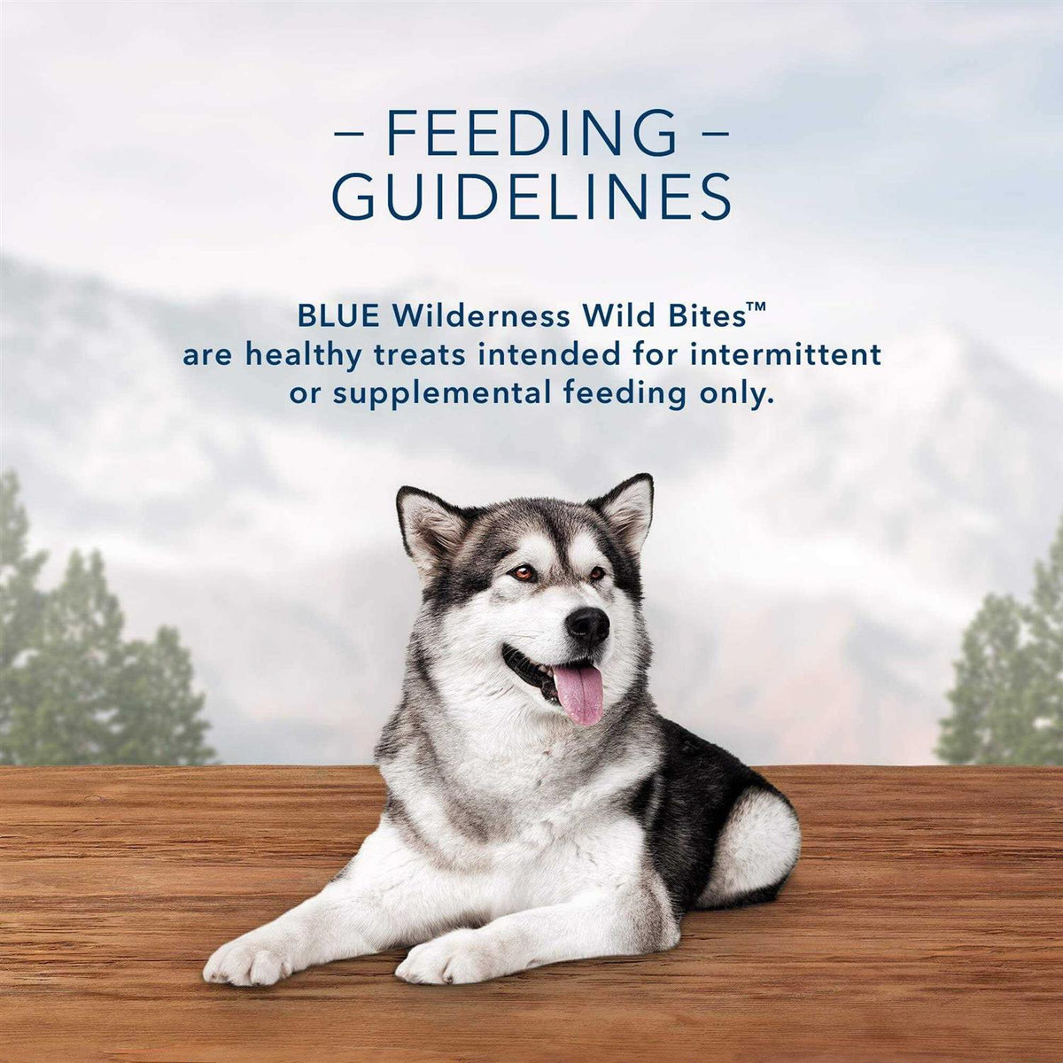 Wild Bites Pet Supplies M7255