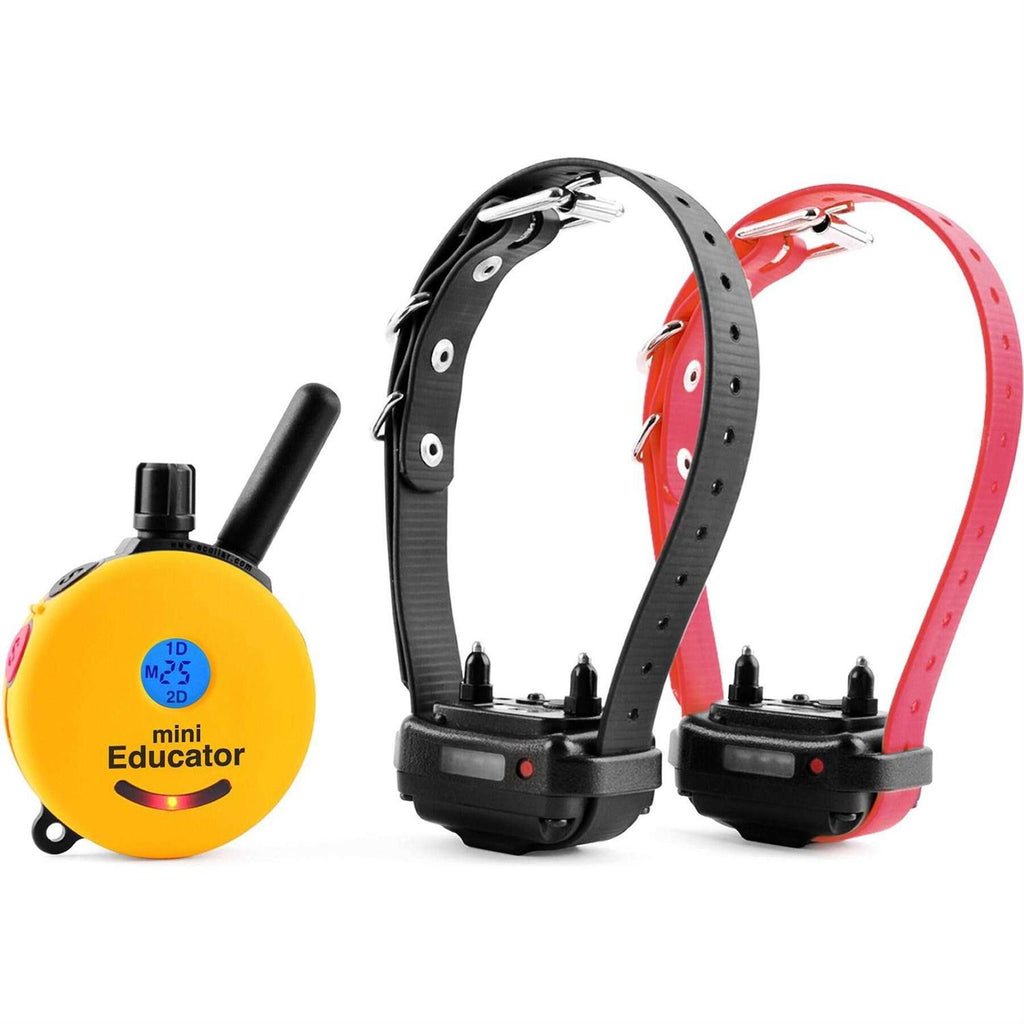 Dog Collar Remote H2110
