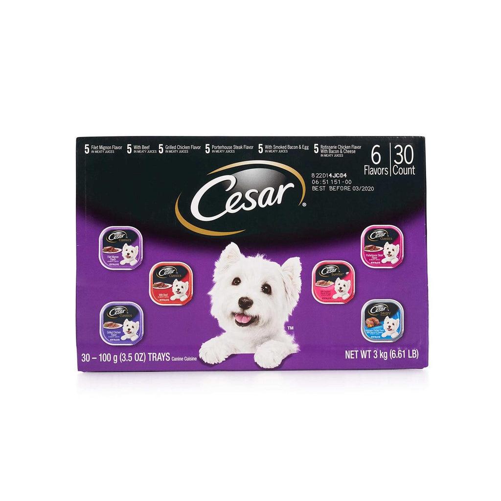 Wet Dog Food B984