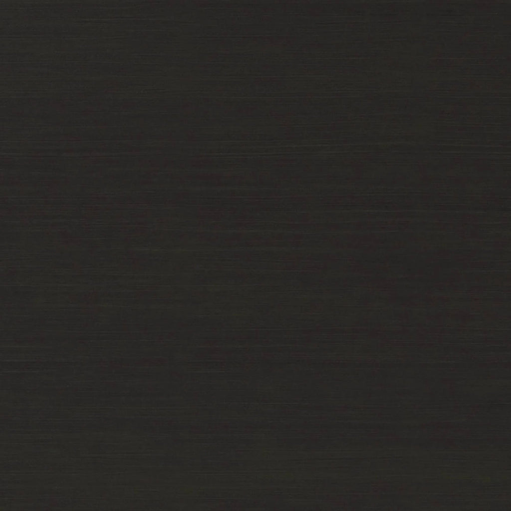 Black 2 Door Cabinet B77717