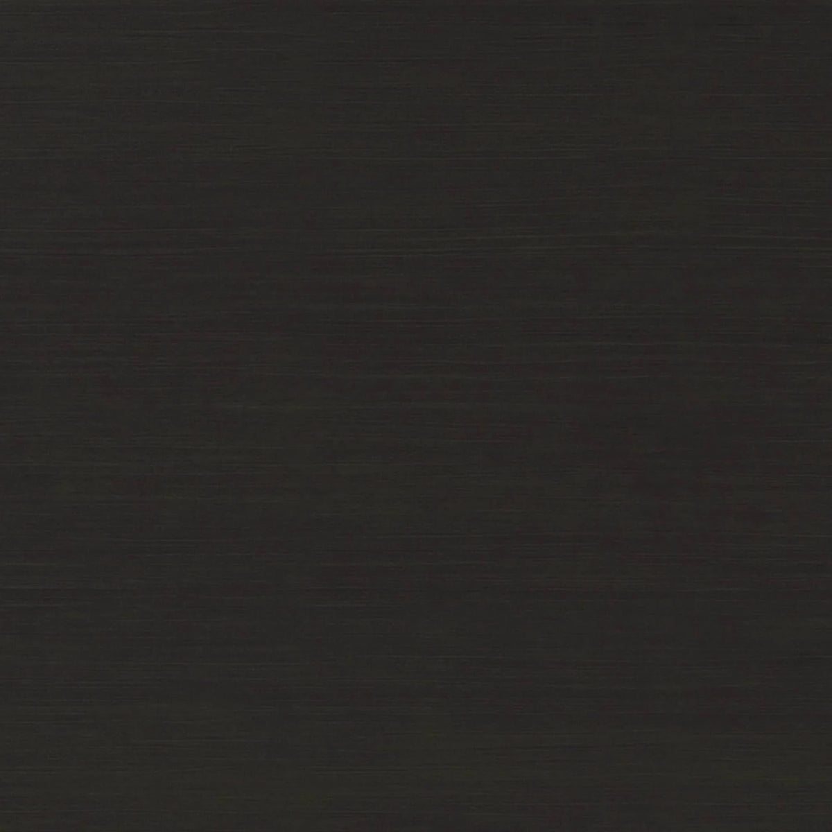 Black 2 Door Cabinet B77717