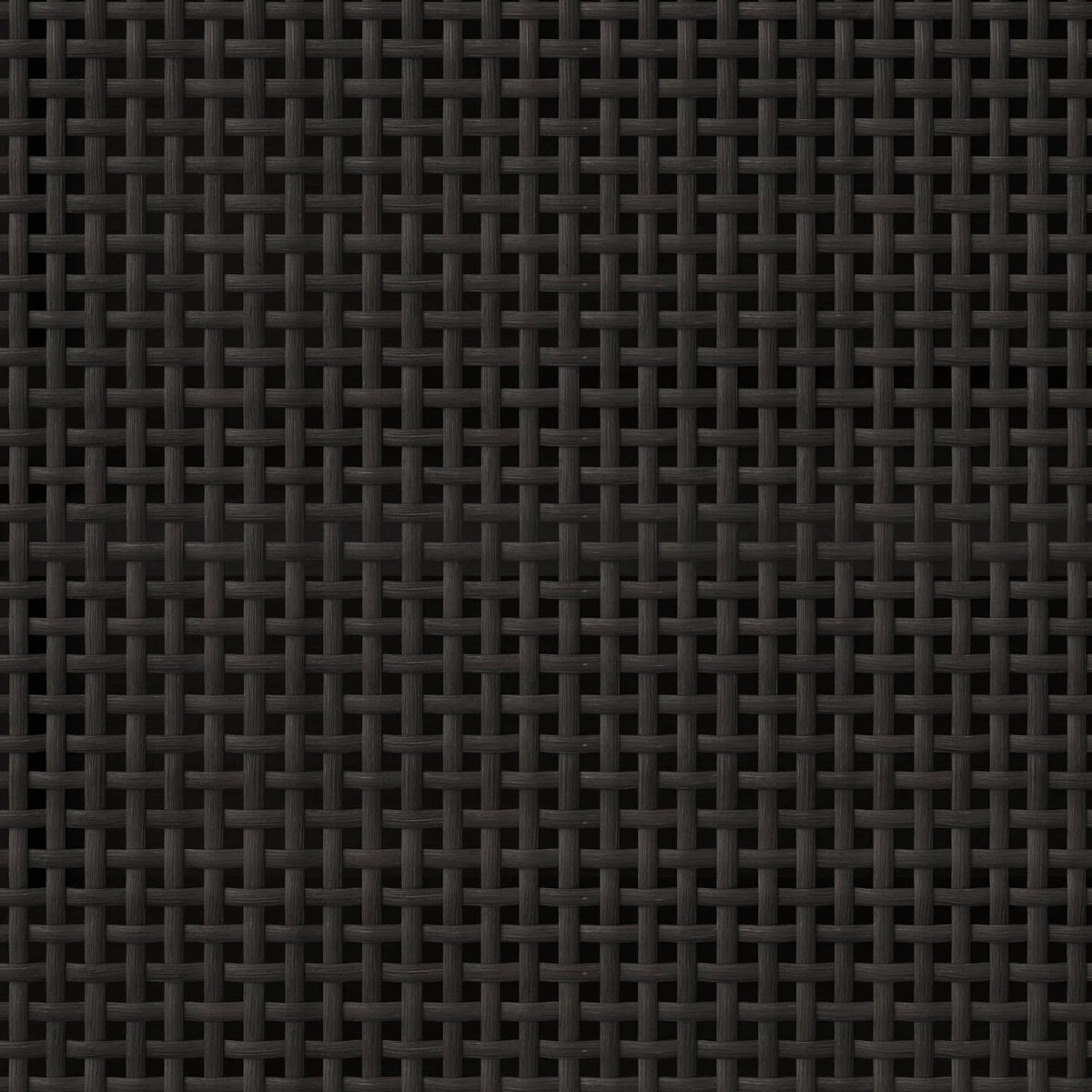 Black 2 Door Cabinet B77717