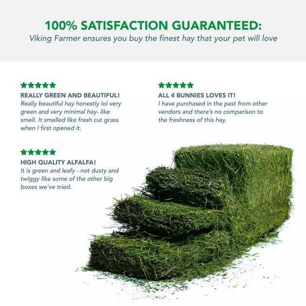 Alfalfa Hay for Rabbits & Small Pets P823