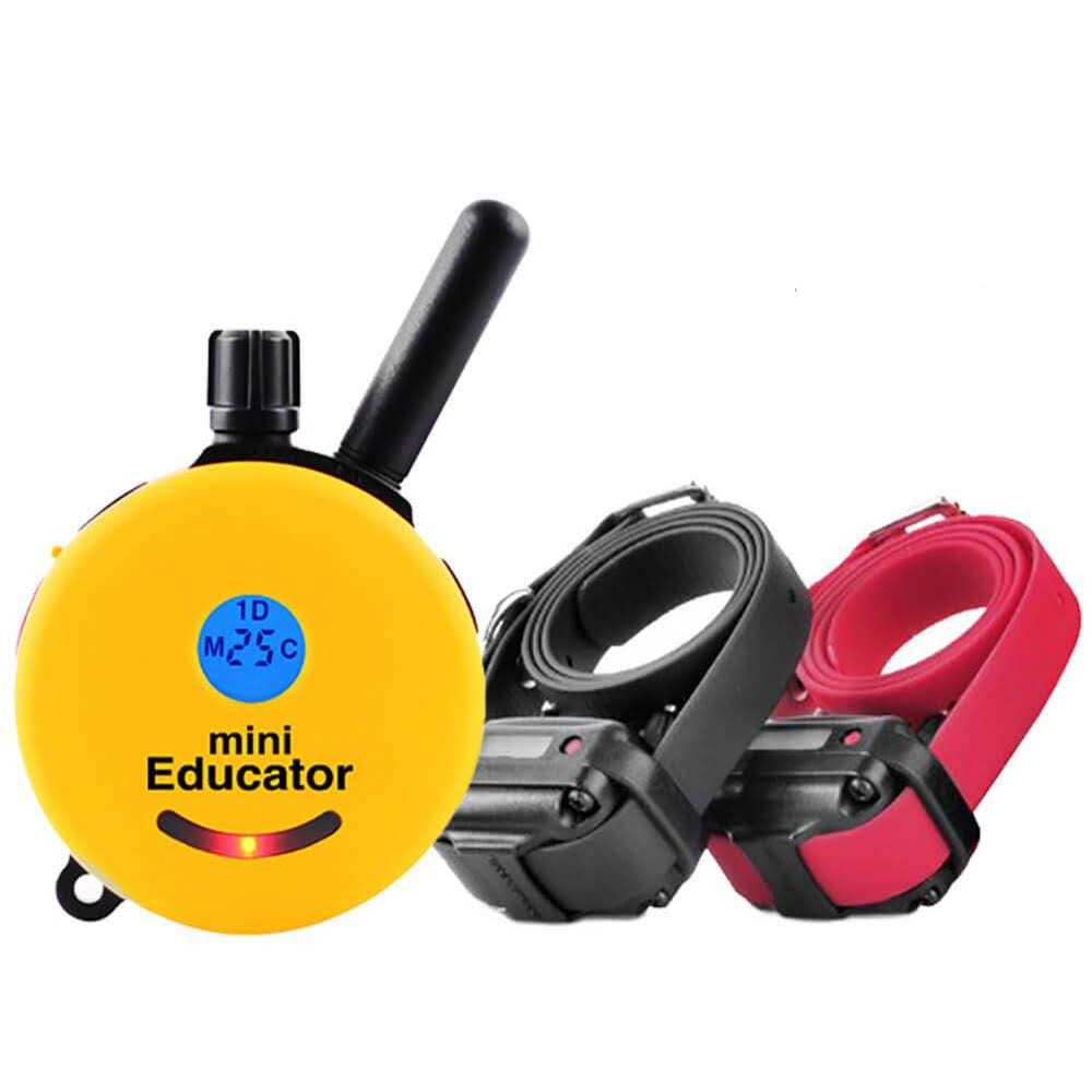 Dog Collar Remote H2110