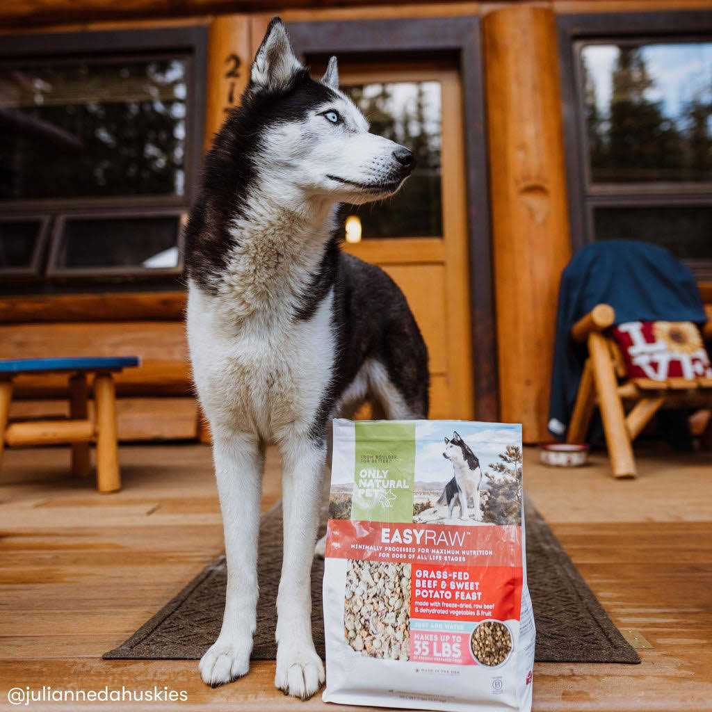Dehydrated Dog Food C836697