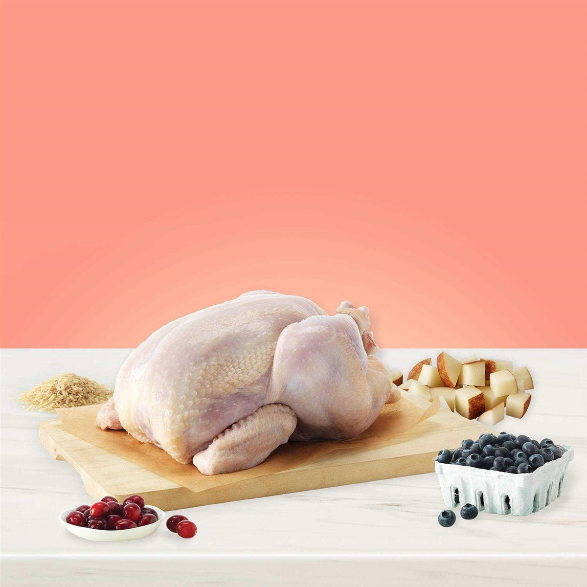 Healthy Weight Control Chicken Adult Dry Dog Food O98361