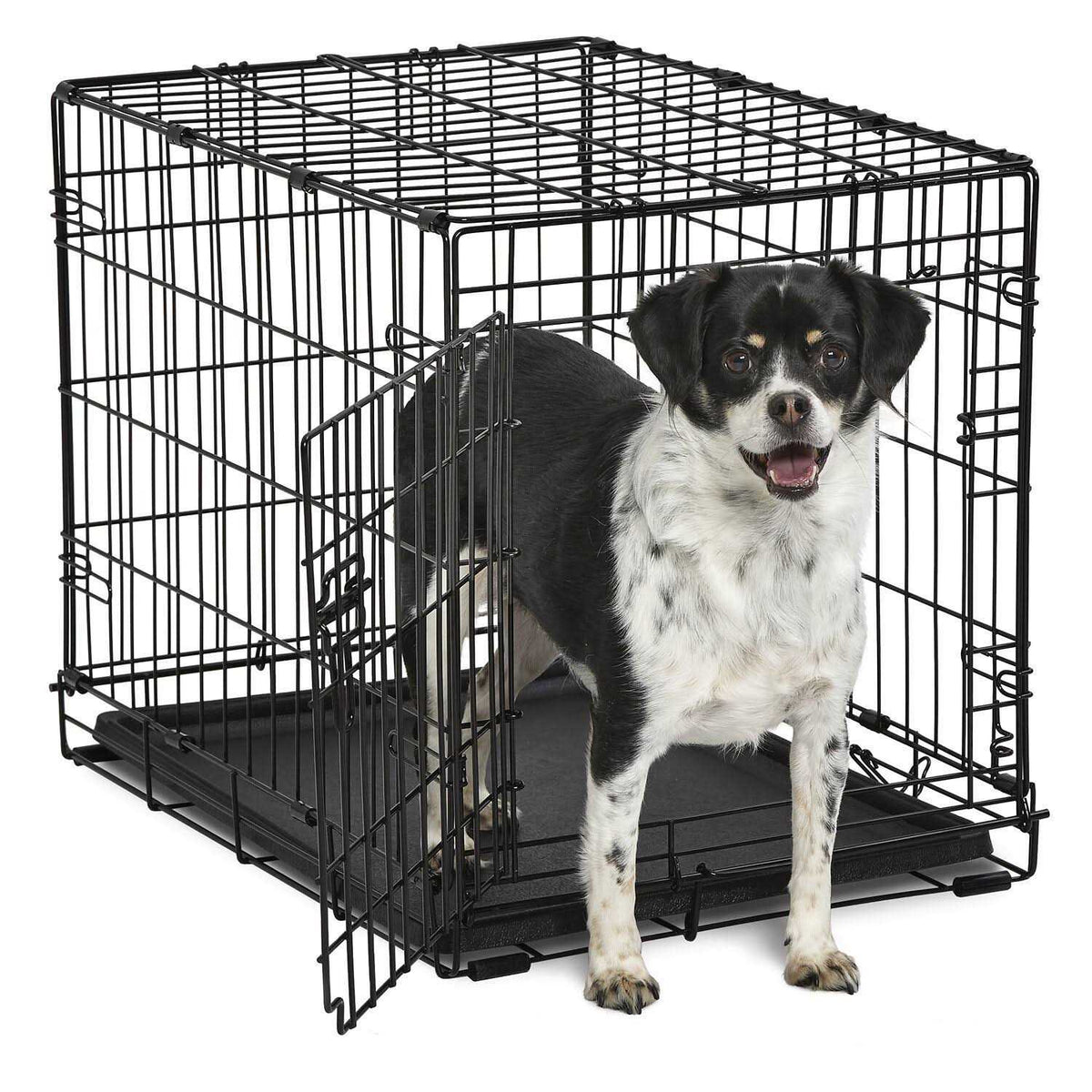Single-Door Dog Crate H904999