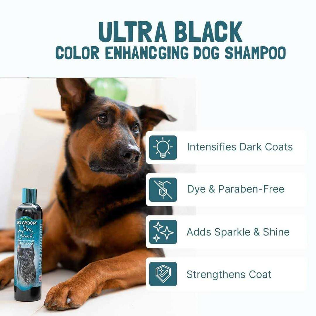 Black Color Enhancing Shampoo Z104