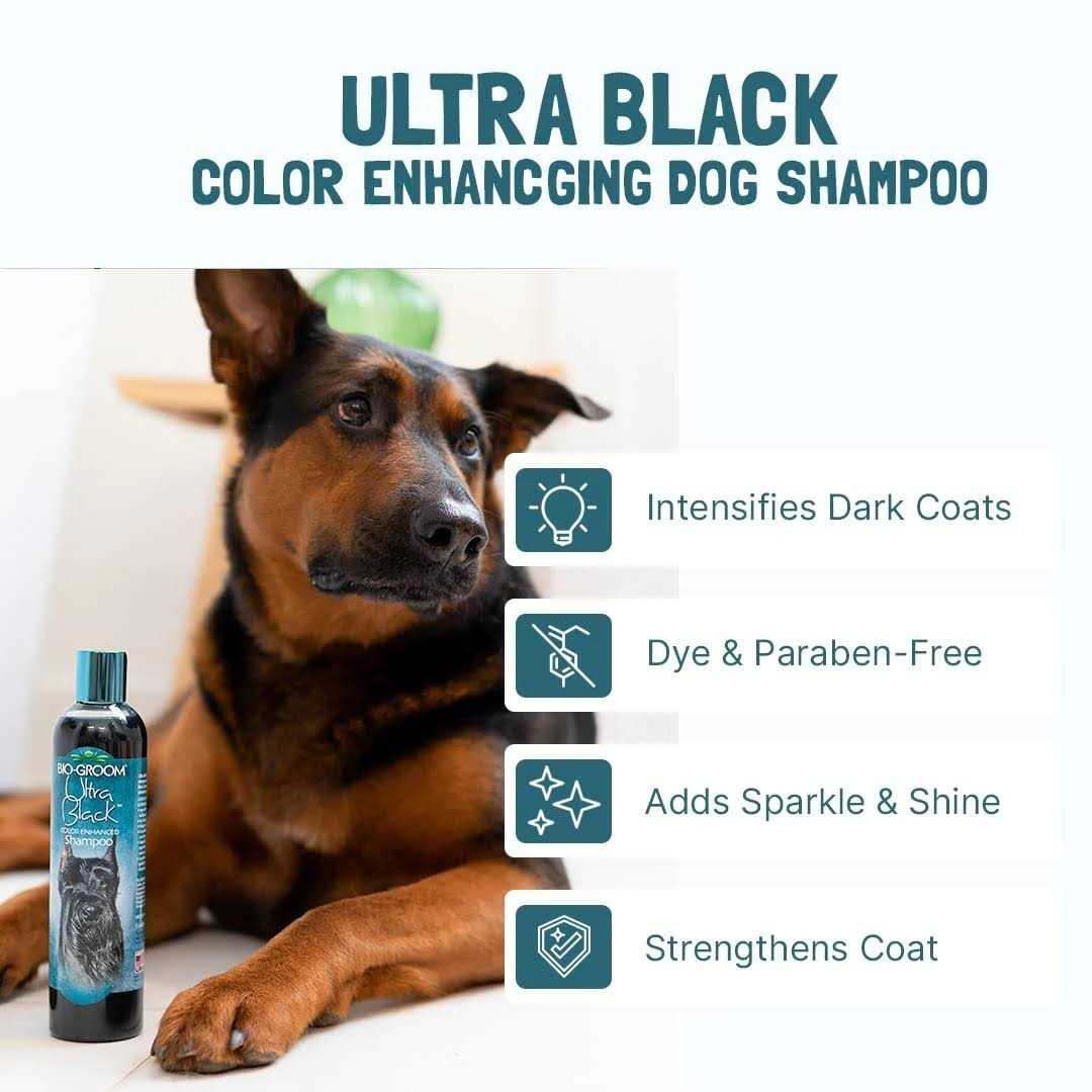 Black Color Enhancing Shampoo Z104