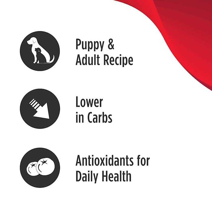 Grain Free Salmon Dog Food E973974