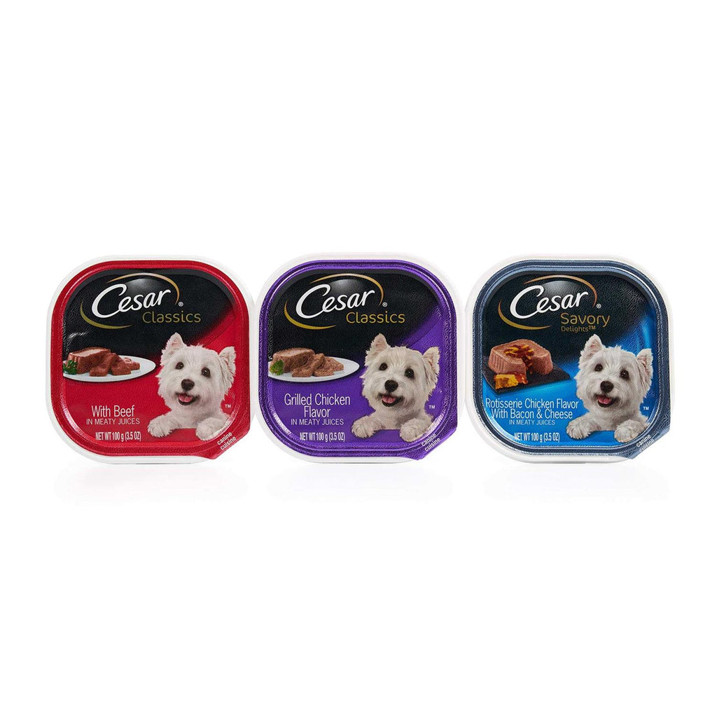 Wet Dog Food B984