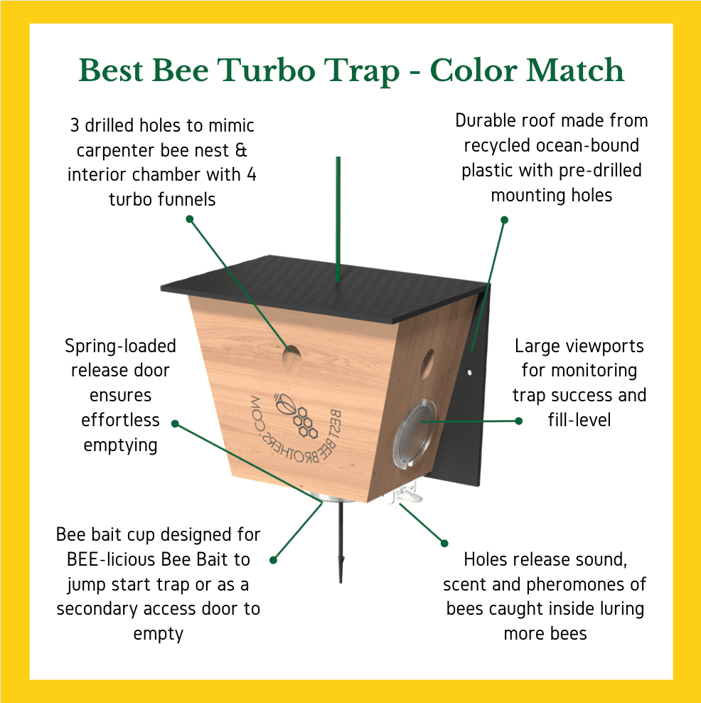 Carpenter Bee Trap with Brown Roof F4216