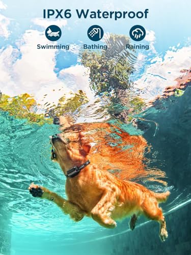 Wireless GPS Fence with Waterproof Rechargeable Collar B714